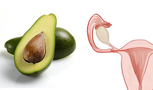 avocado-ovare
