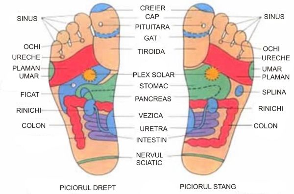ce ne spune harta zonelor reflexogene ale piciorului despre organismul nostru