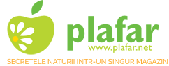 logo-png-plafar