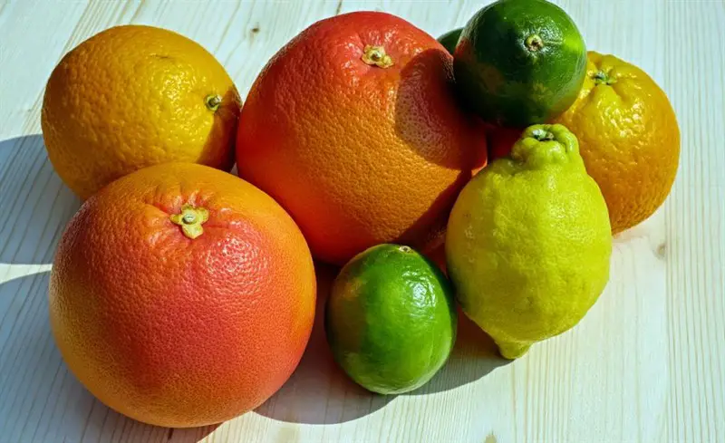 Alimente excelente pentru dieta ta - Citricele – portocale, grapefruit si mandarine