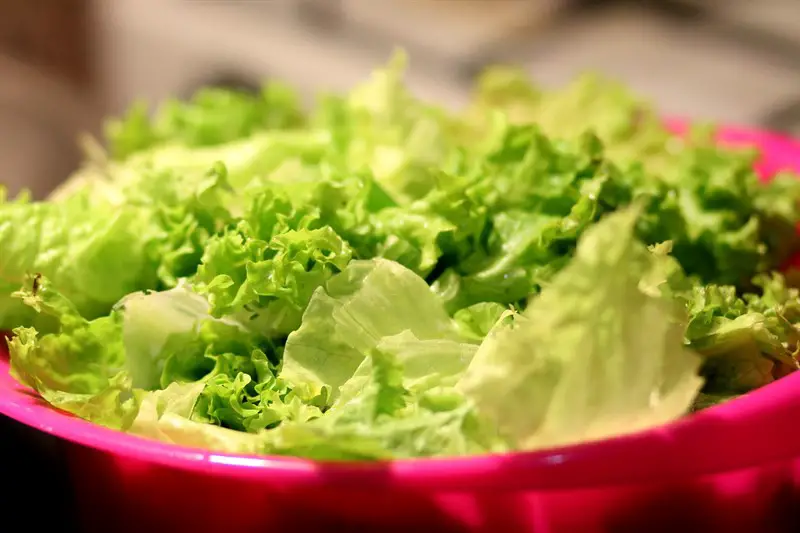 Alimente excelente pentru dieta ta - Salata verde
