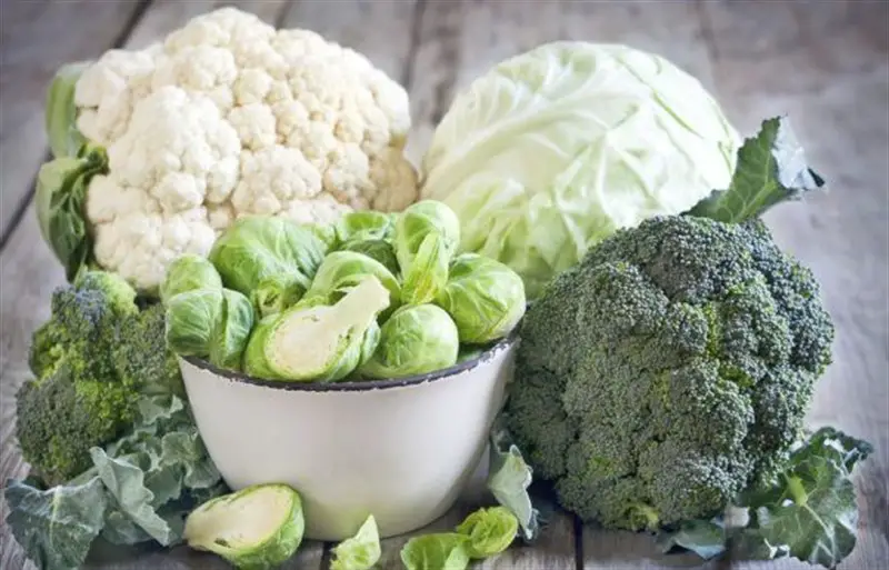 Alimente excelente pentru dieta ta - Varza, broccoli, conopida