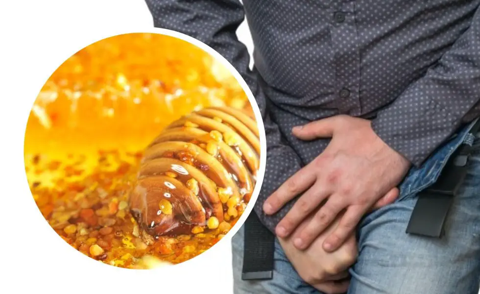 Tratamentul sanitar al prostatitei cu produse apicole